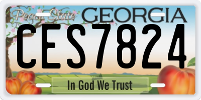 GA license plate CES7824
