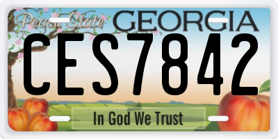 GA license plate CES7842