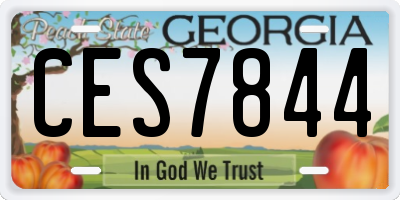GA license plate CES7844