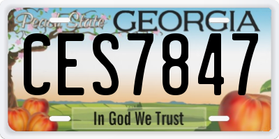 GA license plate CES7847