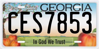 GA license plate CES7853