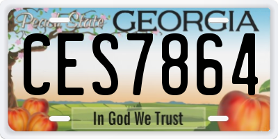 GA license plate CES7864