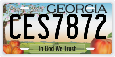 GA license plate CES7872