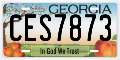 GA license plate CES7873