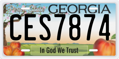GA license plate CES7874