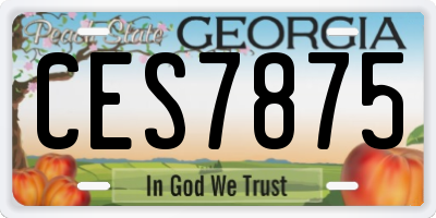 GA license plate CES7875