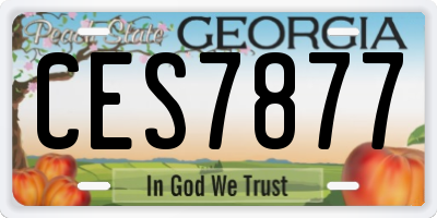 GA license plate CES7877