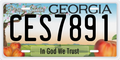 GA license plate CES7891