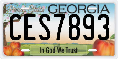 GA license plate CES7893