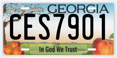 GA license plate CES7901