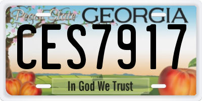 GA license plate CES7917