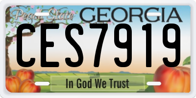 GA license plate CES7919