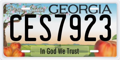 GA license plate CES7923