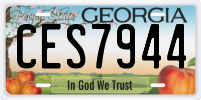 GA license plate CES7944