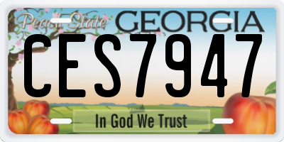 GA license plate CES7947