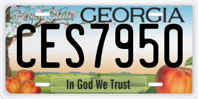GA license plate CES7950