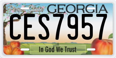 GA license plate CES7957