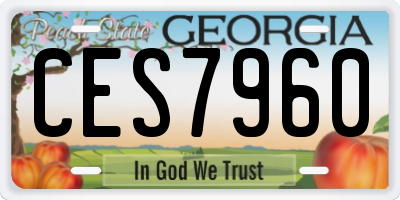 GA license plate CES7960