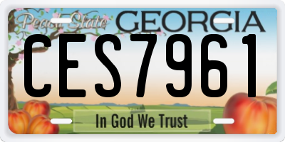 GA license plate CES7961
