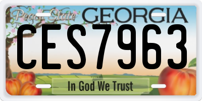 GA license plate CES7963