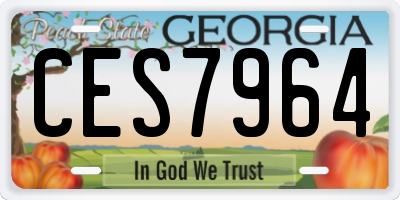GA license plate CES7964