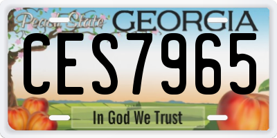 GA license plate CES7965