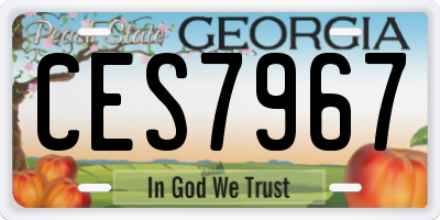 GA license plate CES7967