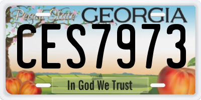 GA license plate CES7973