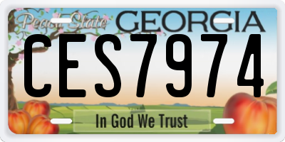 GA license plate CES7974