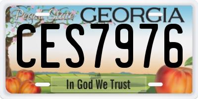 GA license plate CES7976