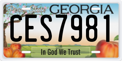 GA license plate CES7981