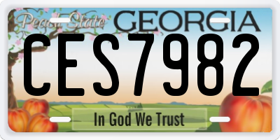 GA license plate CES7982