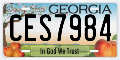 GA license plate CES7984