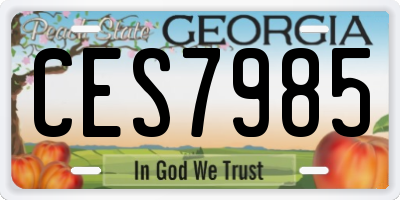 GA license plate CES7985