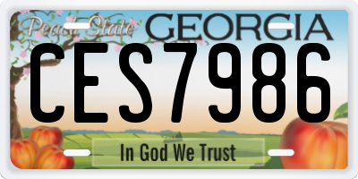 GA license plate CES7986