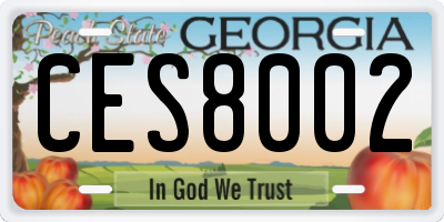 GA license plate CES8002