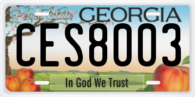 GA license plate CES8003