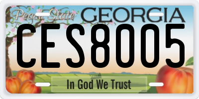 GA license plate CES8005