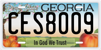 GA license plate CES8009
