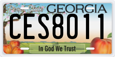 GA license plate CES8011