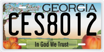 GA license plate CES8012
