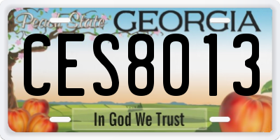 GA license plate CES8013