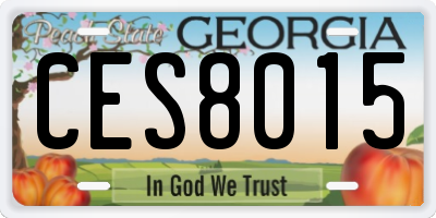 GA license plate CES8015