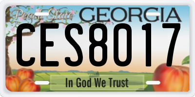 GA license plate CES8017