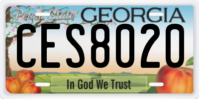 GA license plate CES8020