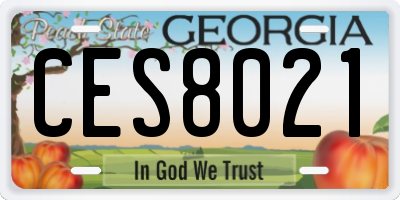 GA license plate CES8021