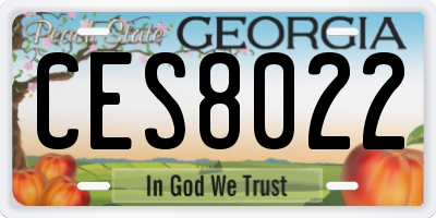 GA license plate CES8022