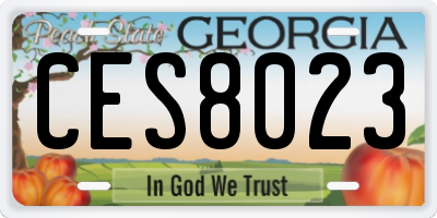 GA license plate CES8023