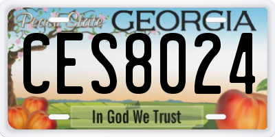 GA license plate CES8024