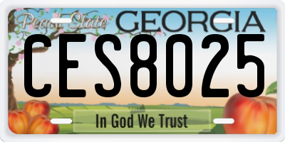 GA license plate CES8025